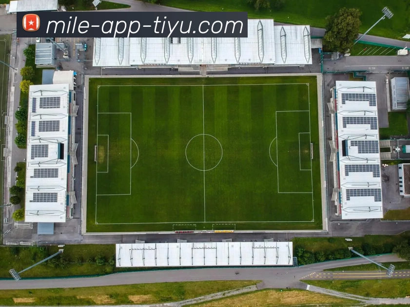 App Interface Preview